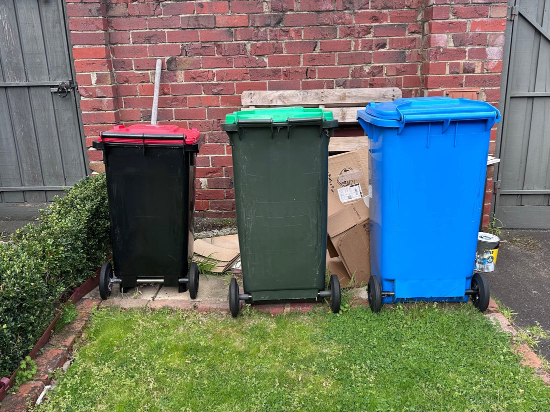 How to Dispose of Cat Litter in Australia: Bin, Compost or Flush?
