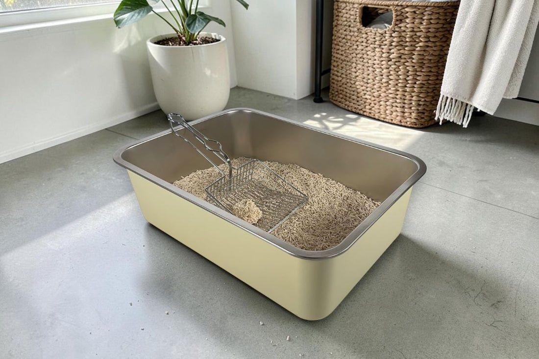 How to Switch Your Cat to Tofu Cat Litter (7 Day Guide)