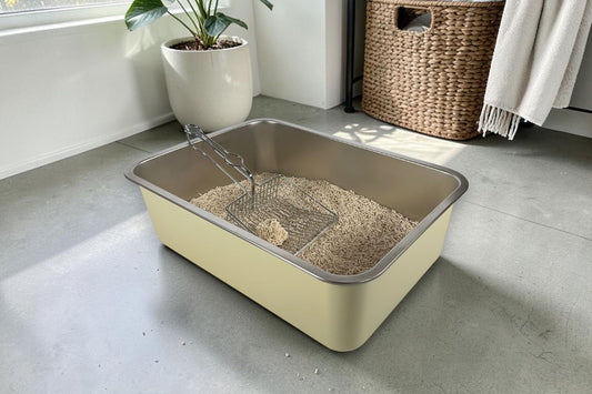How to Switch Your Cat to Tofu Cat Litter (7 Day Guide)