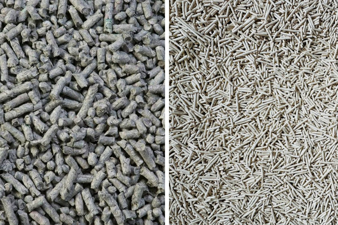 Close up comparison of tofu cat litter pellets and paper cat litter pellets