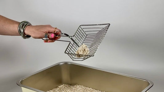 Why Isn’t My Tofu Cat Litter Clumping?