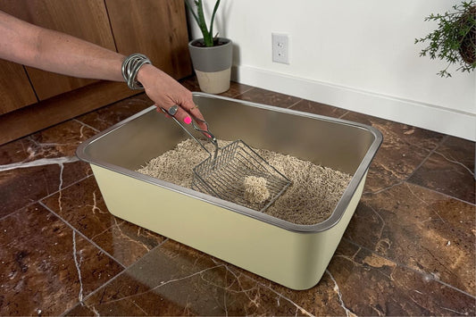 How to Use Tofu Cat Litter: A Complete Guide to Clumping, Scooping & Odour Control