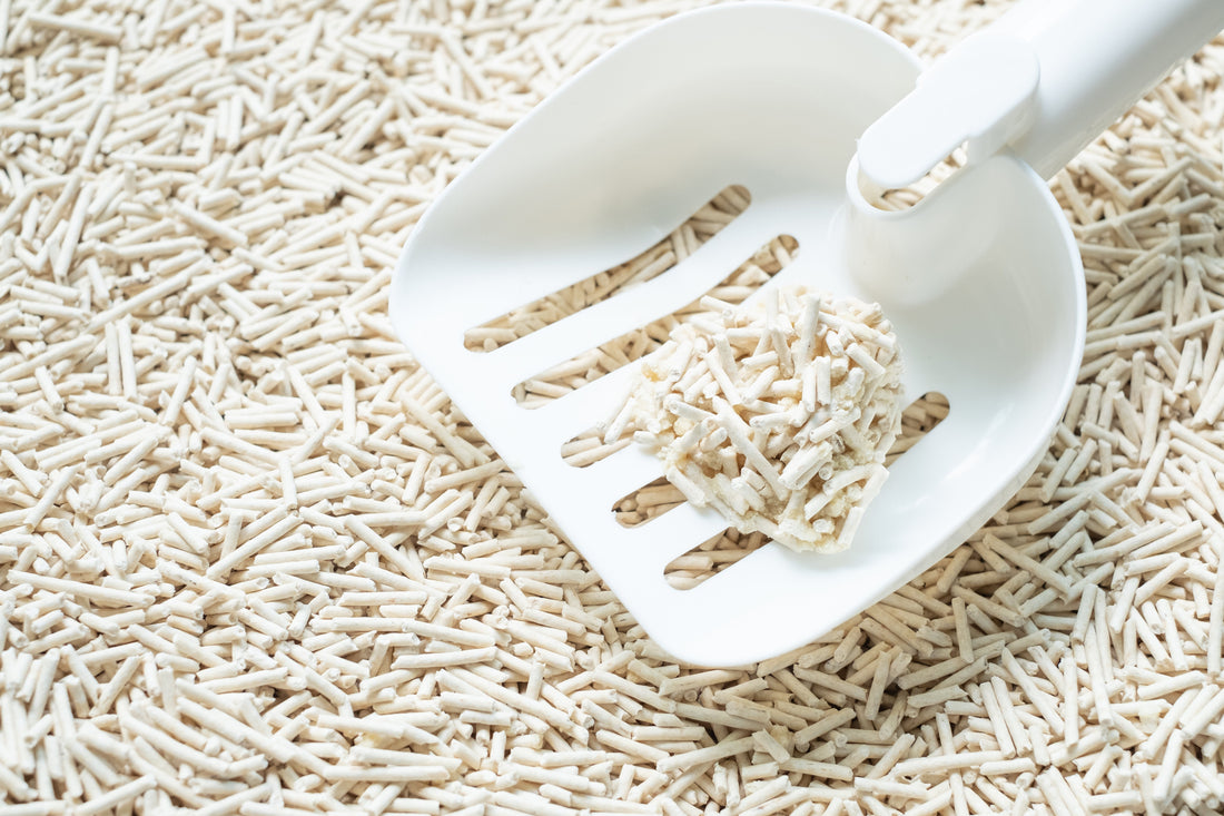 How Long Does Tofu Cat Litter Last?