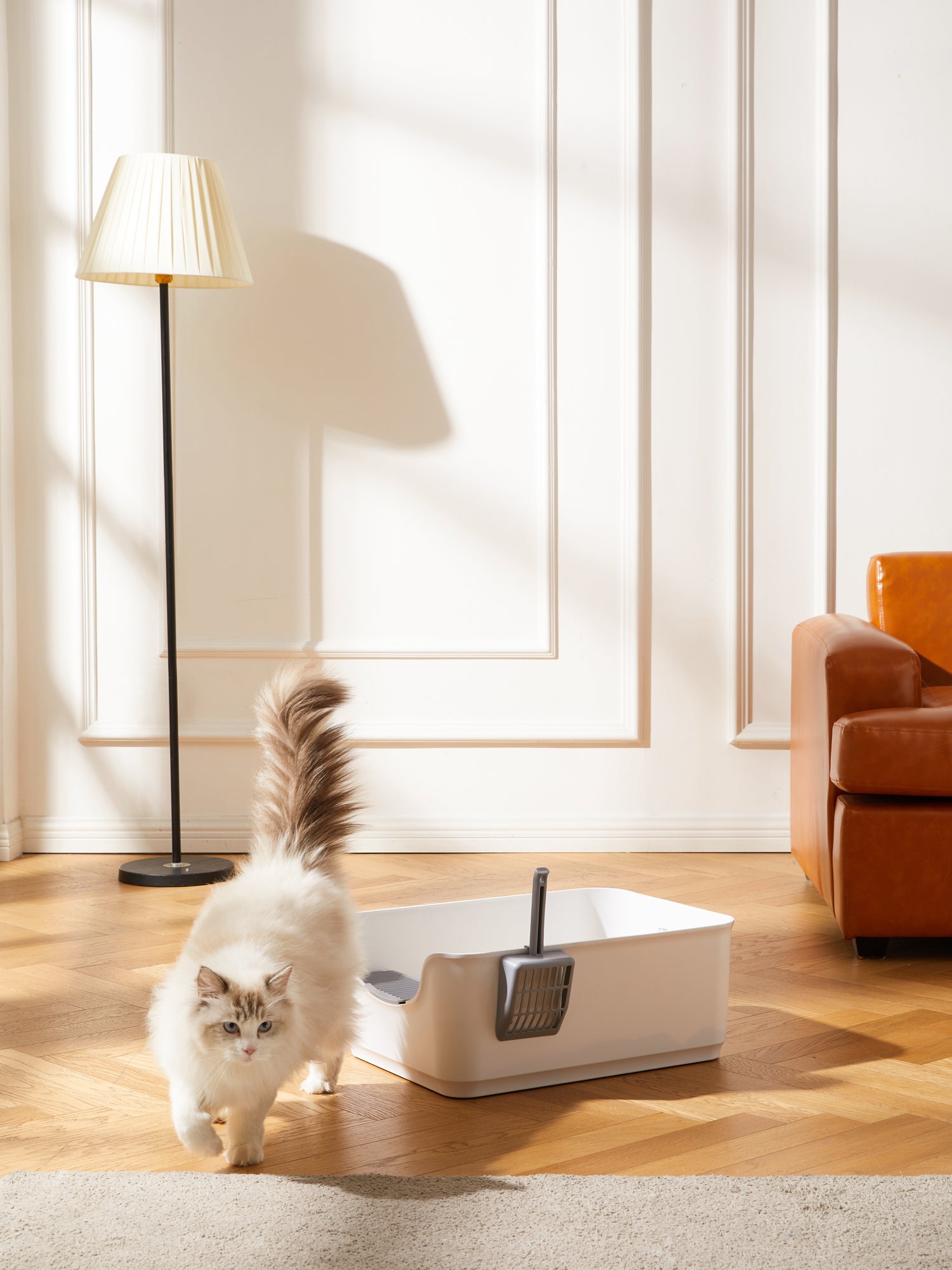 A fluffy white cat walking away from a white litter box with a grey scoop.