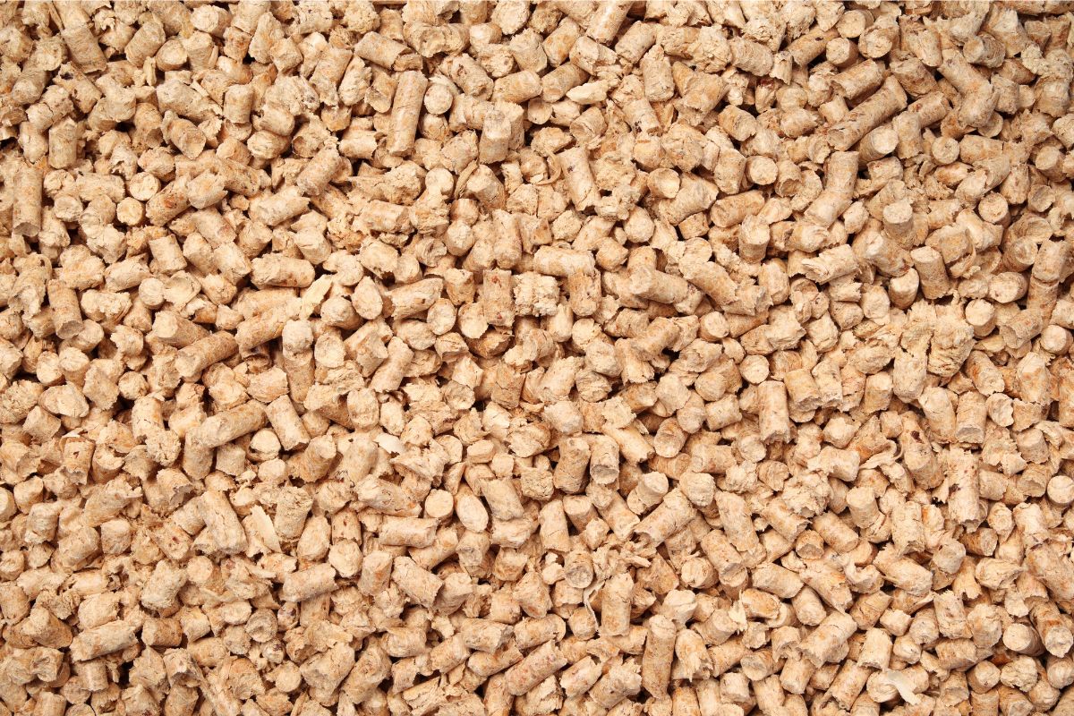 A close up of wood cat litter