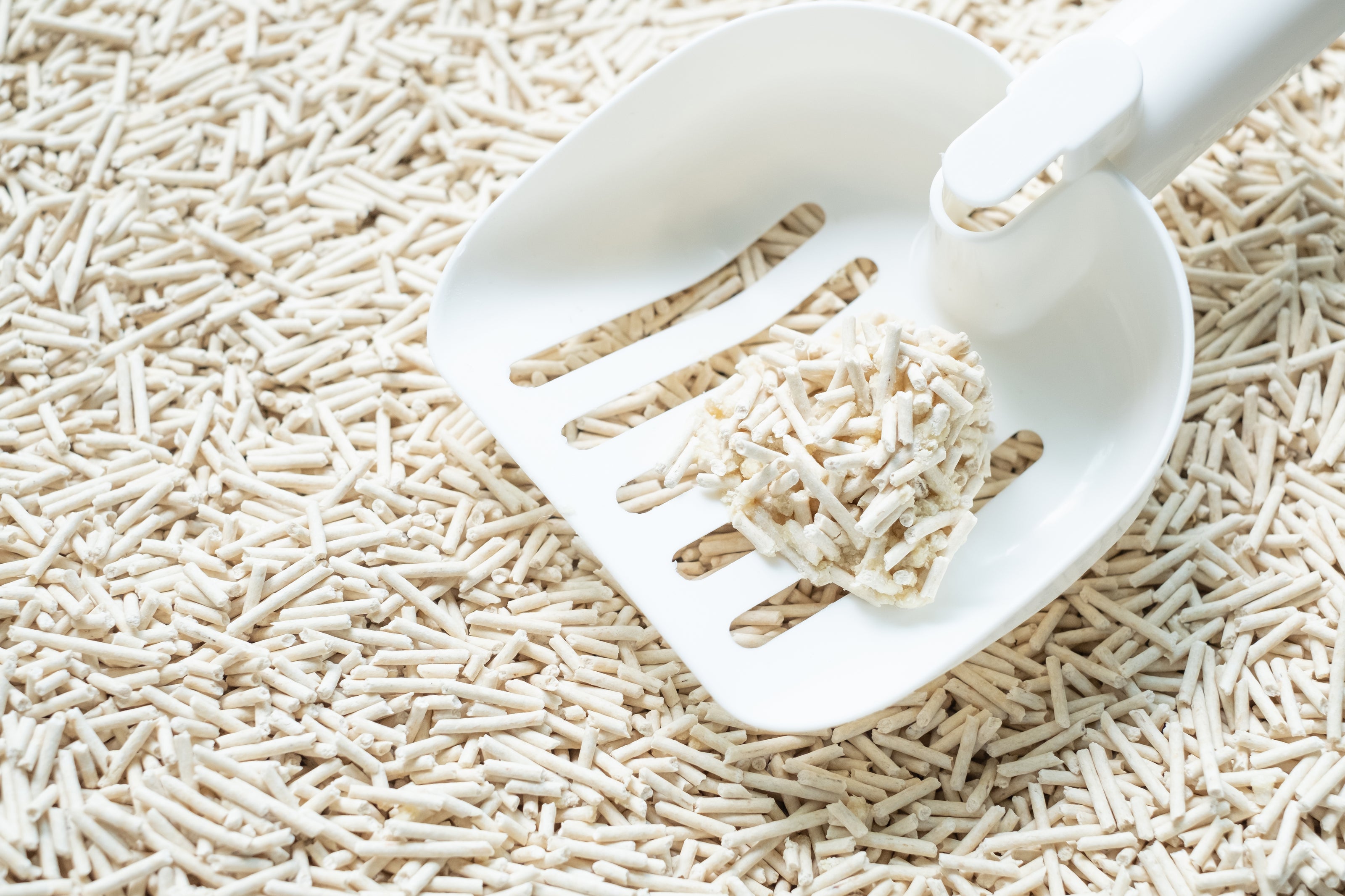 A white scoop holding a clump of cat litter above a tofu cat litter background.